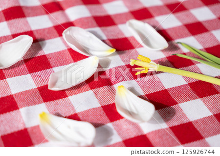 A scattering of soft white flower petals and a green stamen rests gently on a classic red and white checkered tablecloth symbolizing spring's arrival 125926744