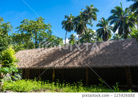 Thatched-roof building at Kamuihei archaeological site, Nuku Hiva, Marquesas Islands. French Polynesia 125926888
