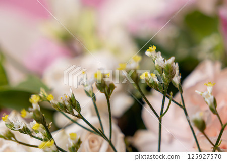 tiny white and yellow wildflowers with slender green stems in a soft-focus floral arrangement, creating a dreamy and delicate natural composition tiny white and yellow wildflowers with slender green stems in a soft-focus floral arrangement, creating a dreamy and delicate natural composition 125927570