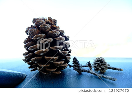 Pine cones 125927670