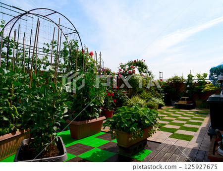 Make effective use of your apartment balcony by growing lots of flowers, vegetables, and plants in a relaxing space Make effective use of your apartment balcony by growing lots of flowers, vegetables, and plants in a relaxing space 125927675