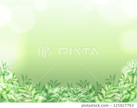 Fresh green leaf arch background illustration Fresh green leaf arch background illustration 125927763