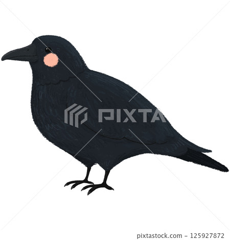 手繪一隻可愛的烏鴉的插圖 125927872