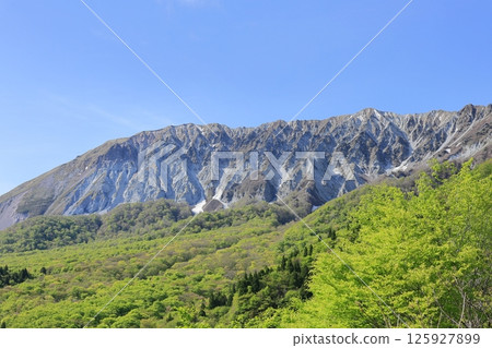 從新綠色的鍵掛嶺眺望大山 11 125927899