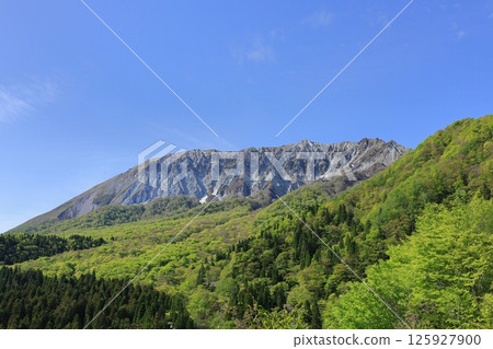 從新綠色的鍵掛嶺眺望大山 10 125927900