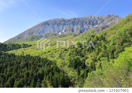 從鍵掛嶺眺望大山,綠意盎然 9 從鍵掛嶺眺望大山,綠意盎然 9 125927901