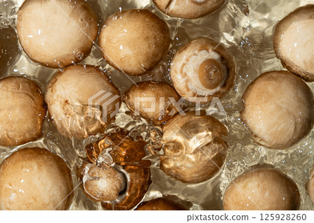 Organic Cremini Mushrooms Brown Champignons in a Water Splash Organic Cremini Mushrooms Brown Champignons in a Water Splash 125928260