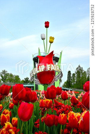 Tonami Tulip Fair Tulip Tower 125928752