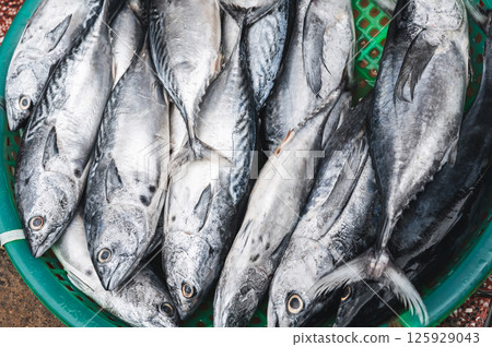 catch of fresh fish. Chilled mackerel on counter at the Asian seafood market in Vietnam catch of fresh fish. Chilled mackerel on counter at the Asian seafood market in Vietnam 125929043