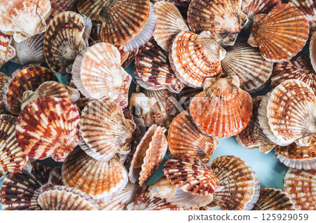 background with scallops. Edible seashells on seafood market in Asia 125929059