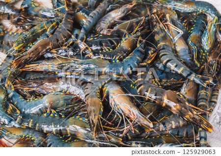 fresh catch of shrimp. Chilled prawns on the counter at the fish market 125929063