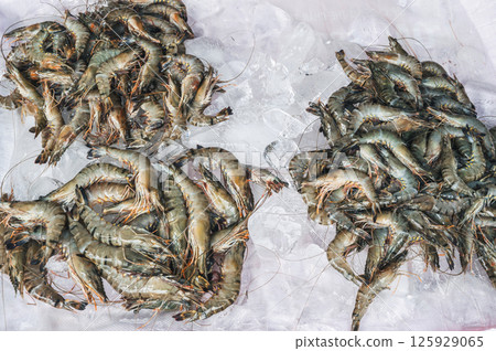 fresh catch of shrimp. Chilled prawns with ice on counter at the fish market 125929065