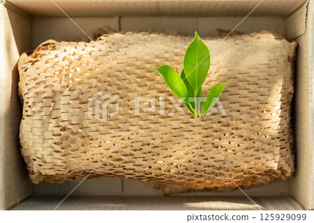 Green leaf on eco friendly brown paper honeycomb wrap for product packaging parcel carton box Green leaf on eco friendly brown paper honeycomb wrap for product packaging parcel carton box 125929099