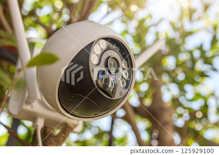 Security IP CCTV camera using solar energy install on the tree for home security system Security IP CCTV camera using solar energy install on the tree for home security system 125929100