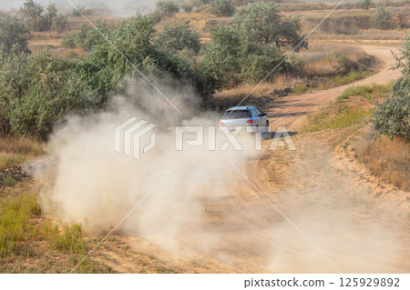 Sports Hatchback Leaves with Dust 125929892