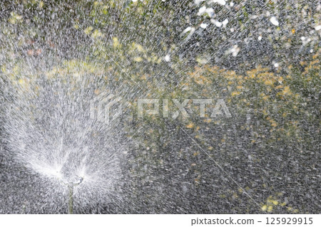 Water hose in the park Water hose in the park 125929915