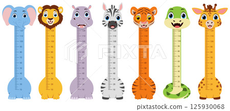 Kids height chart with cute animal cartoon, elephant, lion, hippo, zebra, tiger, snake, and giraffe Kids height chart with cute animal cartoon, elephant, lion, hippo, zebra, tiger, snake, and giraffe 125930068