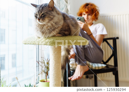 home life of pets and owners home life of pets and owners 125930294