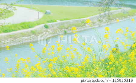 強姦在河邊開花 125930319