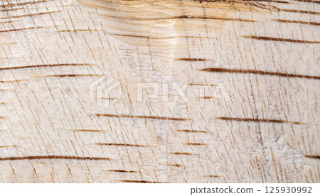 macro photo of white birch plank surface with wood texture 125930992