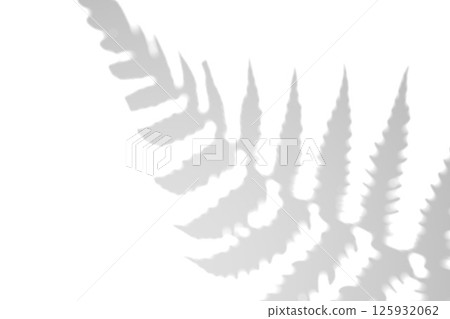 Fern branch shadow. Leaf shadow overlay. Sunlight trough the leaf. Nature organic shadow. Blurred Leaf shadow and light on wall background. 3d rendering Fern branch shadow. Leaf shadow overlay. Sunlight trough the leaf. Nature organic shadow. Blurred Leaf shadow and light on wall background. 3d rendering 125932062