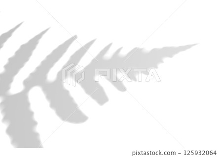 Fern branch shadow. Leaf shadow overlay. Sunlight trough the leaf. Nature organic shadow. Blurred Leaf shadow and light on wall background. 3d rendering 125932064