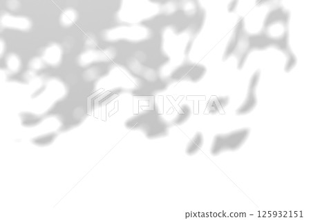 Tree branch shadow. Tree leaves shadow overlay. Summer sunlight trough the leaves. Nature organic shadow. Blurred Leaf shadow and light on wall background. 3d rendering 125932151