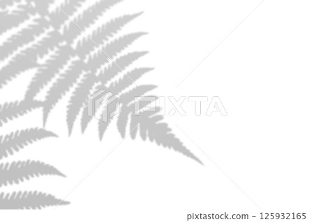 Fern branch shadow. Leaf shadow overlay. Sunlight trough the leaf. Nature organic shadow. Blurred Leaf shadow and light on wall background. 3d rendering 125932165