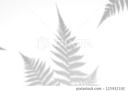 Fern branch shadow. Leaf shadow overlay. Sunlight trough the leaf. Nature organic shadow. Blurred Leaf shadow and light on wall background. 3d rendering Fern branch shadow. Leaf shadow overlay. Sunlight trough the leaf. Nature organic shadow. Blurred Leaf shadow and light on wall background. 3d rendering 125932192