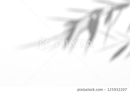 Willow branch shadow. Tree leaves shadow overlay. Sunlight trough the leaves. Nature organic shadow. Blurred Leaf shadow and light on wall background. 3d rendering 125932207