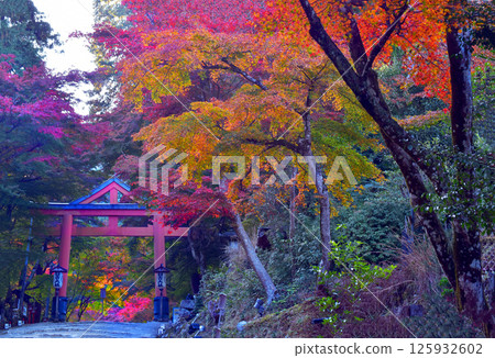 Autumn at Hiyoshi Taisha Shrine: Sanno Torii 125932602