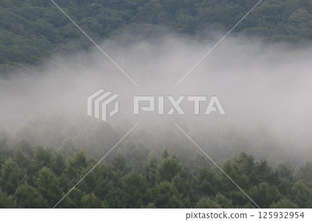 霧籠罩著霧 霧籠罩著霧 125932954