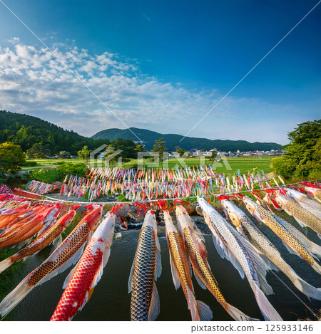 與鯉魚飄帶的風景 125933146