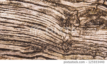 Wood Textured Background 125933440