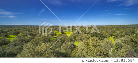 Holm Oak Meadow, Spain 125933594