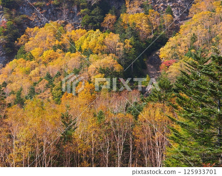 Autumn leaves of Yatsugatake Autumn leaves of Yatsugatake 125933701