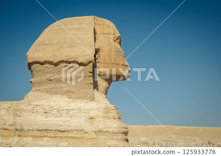 The Great Sphinx of Giza. Giza grand pyramids. Cairo, Ciza, Egypt.  125933776