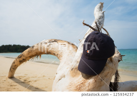 View of Tohara Beach, Okinawa Prefecture View of Tohara Beach, Okinawa Prefecture 125934237