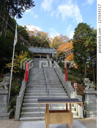 Sarutahiko Mikawa Shrine surrounded by autumn leaves Sarutahiko Mikawa Shrine surrounded by autumn leaves 125934317