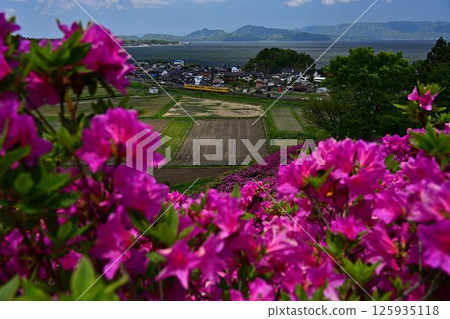 Azalea and train 125935118