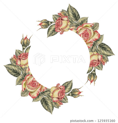 Yellow and pink roses and buds and green leaves wreath. Watercolor illustration for cards, invitations, holidays Spring, birthday, Valentine's Day, wedding or Mother's Day. 125935160