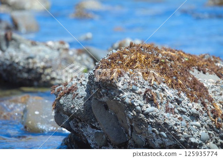 In the ocean scenery, there are rocks covered with seaweed, and the smell of the sea is the smell of summer. 125935774