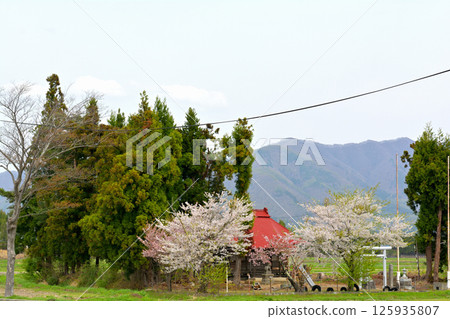 豬苗代湖 豬苗代湖 125935807