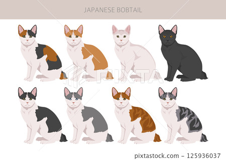 Japanese bobtail cat clipart. All cat breeds characteristics infographic Japanese bobtail cat clipart. All cat breeds characteristics infographic 125936037