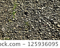 有石頭嵌入的混凝土路 有石頭嵌入的混凝土路 125936095