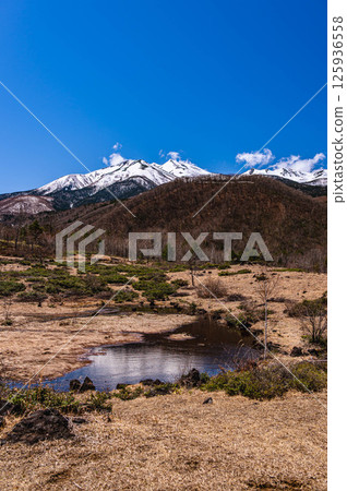 乘坐鞍山舞凪池的春景 125936558