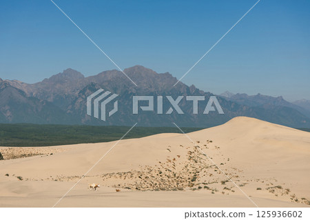 Kodar mountain range and Chara sands. Kodar mountain range and Chara sands. 125936602