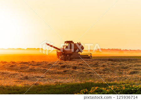 A combine harvester works diligently in a golden field during sunset, capturing the beauty of rural agriculture 125936714