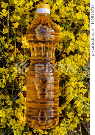 Canola oil bottle sits amidst blooming rapeseed flowers, showcasing the beauty of agriculture and nature in full bloom under sunlight 125936786