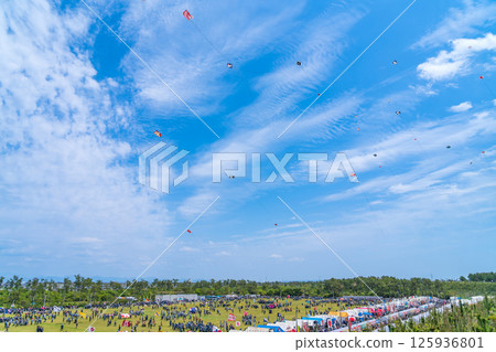 Hamamatsu Festival, Kite-flying contest at Nakatajima Sand Dunes (Hamamatsu City, Shizuoka Prefecture) Hamamatsu Festival, Kite-flying contest at Nakatajima Sand Dunes (Hamamatsu City, Shizuoka Prefecture) 125936801